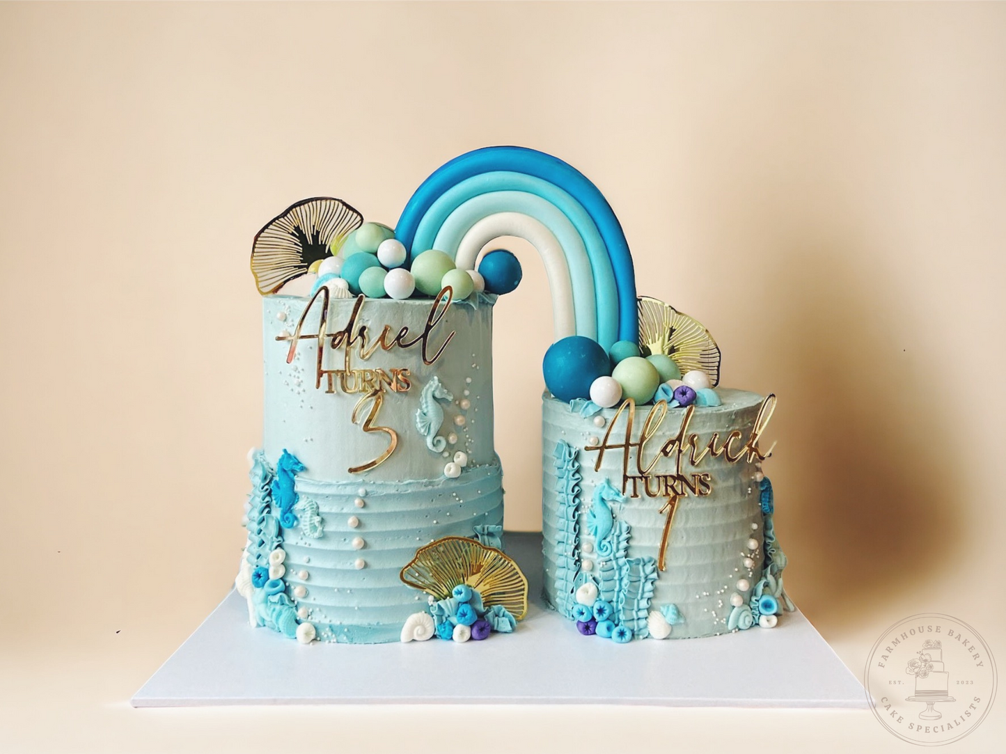 Under the sea duo cake